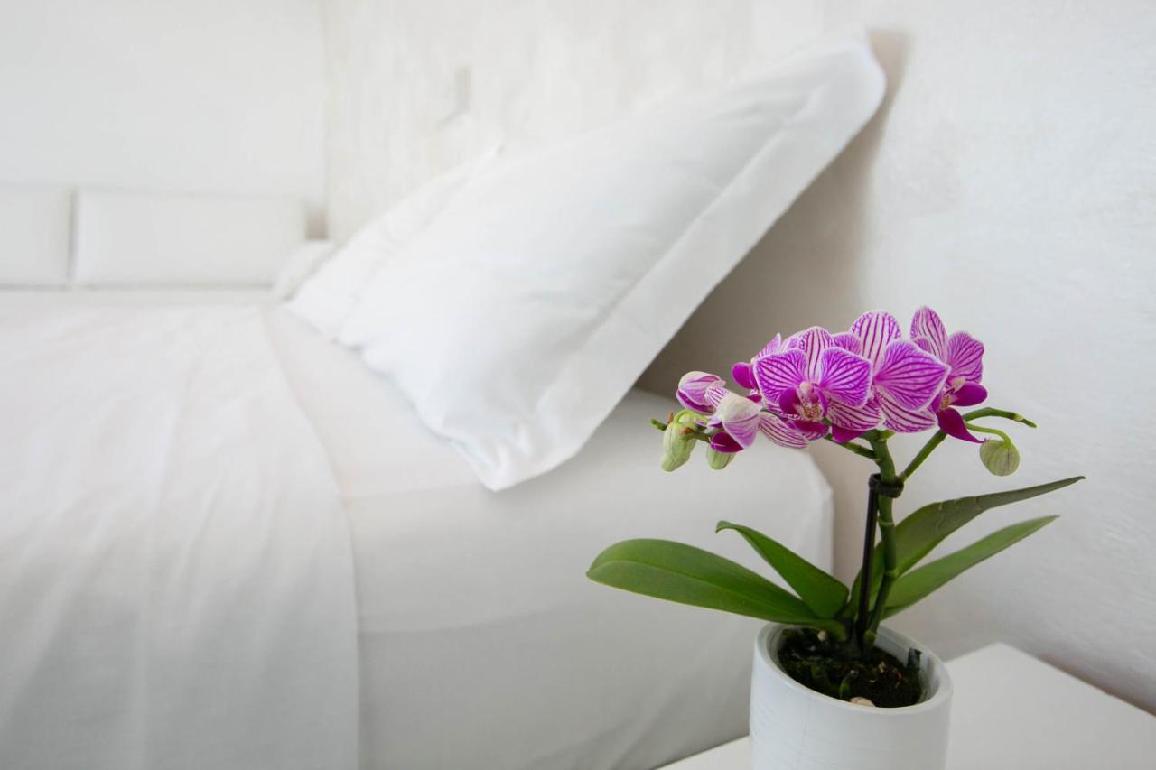 Hotel Nuovo Giardino Rimini Kültér fotó